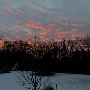 Meet your Posher, Maddie